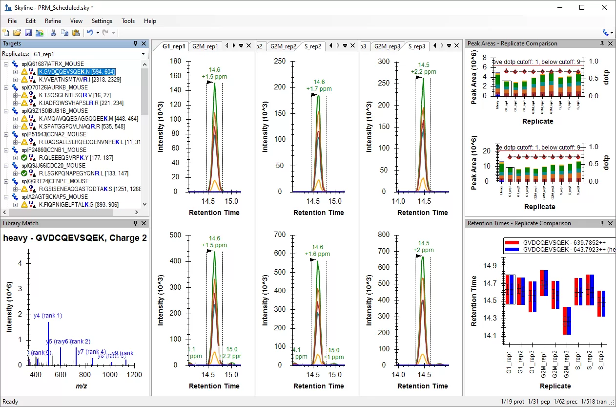 An example of Skyline interface